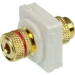 4Cabling Banana Plug to Binding Post Red (White Bezel)