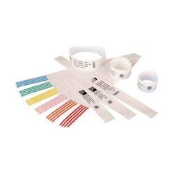 Zebra Z-Band Direct Adult 25x279mm