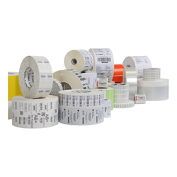 Zebra TAG Paper 4X4IN (101.6X101.6MM) DT Z
