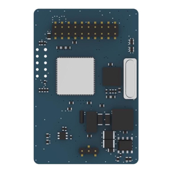 Yeastar LTE Module