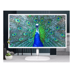 AOC 31.5&amp;amp;quot; IPS Panel 4ms QHD 2560x1440 HDMI DP 75Hz 3-sided Narrow Frame VESA 100 x 100mm wall mountable White colour