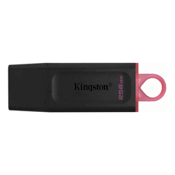 Kingston KNG FLS USB-256GB-DTX/256GB
