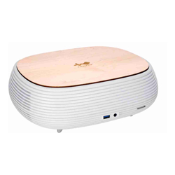 InWin B1 MINI-ITX 200W GOLD ITX Chassis WHITE