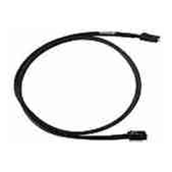 Intel CABLE KIT 730mm STRAIGHT HD MINI SAS to HD MINI SAS 2 CABLE per PACK