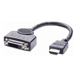 Lindy  Lindy .2m DVI-D F-HDMI M Adapt