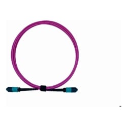 PlusOptic 3m MPO-MPO 12F Multimode OM4 Fiber Optic Cable | Magenta