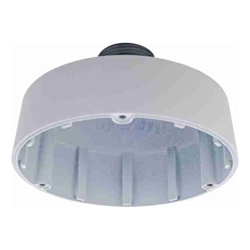 D-Link Camera Cap T2