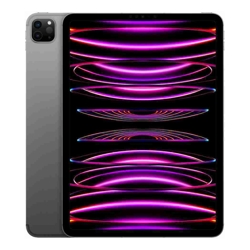 Apple iPad Pro 11-inch (4th generation) 256GB Wi-Fi + Cellular Apple M2 chip Space Grey 6 Mth Wty (Refurbished)