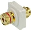 Cable Management & Installation - 4Cabling Banana Plug to Binding Post Red (White Bezel) | Wholesale IT Computer Hadware