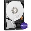 WD - WD Purple 1TB Surveillance Hard Disk Drive HDD 3.5 inch SATA 5400rpm 6Gb/s 64MB | Wholesale IT Computer Hadware