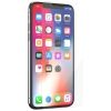 Third Party Screen Protectors - Tech21 Impact Shield for iPhone X | Wholesale IT Computer Hadware