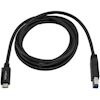 StarTech USB Type-C / 3.1 Cables - StarTech 2m 6ft USB C to USB B Cable USB 3.0 | Wholesale IT Computer Hadware