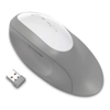 Kensington Wireless Desktop Mice - Kensington PRO FIT Ergonomic WIRELESS MOUSE GREY | Wholesale IT Computer Hadware