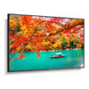 Commercial Displays - NEC MA551 49" Wide Color Gamut 4K UHD Professional Display/ 3840x2160 / 500 cd/m2 | Wholesale IT Computer Hadware