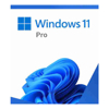 Home & SOHO Home & Office Software - Microsoft RETAIL WINDOWS 11 PRO (64 BIT) USB BOX | Wholesale IT Computer Hadware