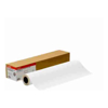 Paper Rolls - Canon PLOTTEX TRACE Paper 110GSM 841mm 50M 1 Roll | Wholesale IT Computer Hadware
