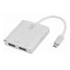 DisplayPort Cables - Comsol USB-C TO DUAL DISPLAYPORT ADAPTER | Wholesale IT Computer Hadware