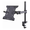 Docks & Port Replicators - StarTech Laptop Desk Mount Monitor and Laptop Mount Displays up to 34in (8kg/17.6lb) & | Wholesale IT Computer Hadware
