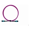 PlusOptic Other Network Cables - PlusOptic 1m MPO-MPO 12F Multimode OM4 Fiber Optic Cable | Magenta | Wholesale IT Computer Hadware
