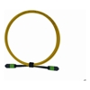 PlusOptic Other Network Cables - PlusOptic 5m MPO-MPO 12F Single mode G652D Fiber Optic Cable | Yellow | Wholesale IT Computer Hadware