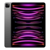 Apple iPad Pro - Apple iPad Pro 12.9-inch (6th generation) 2TB Wi-Fi + Cellular Apple M2 chip Space Grey | Wholesale IT Computer Hadware